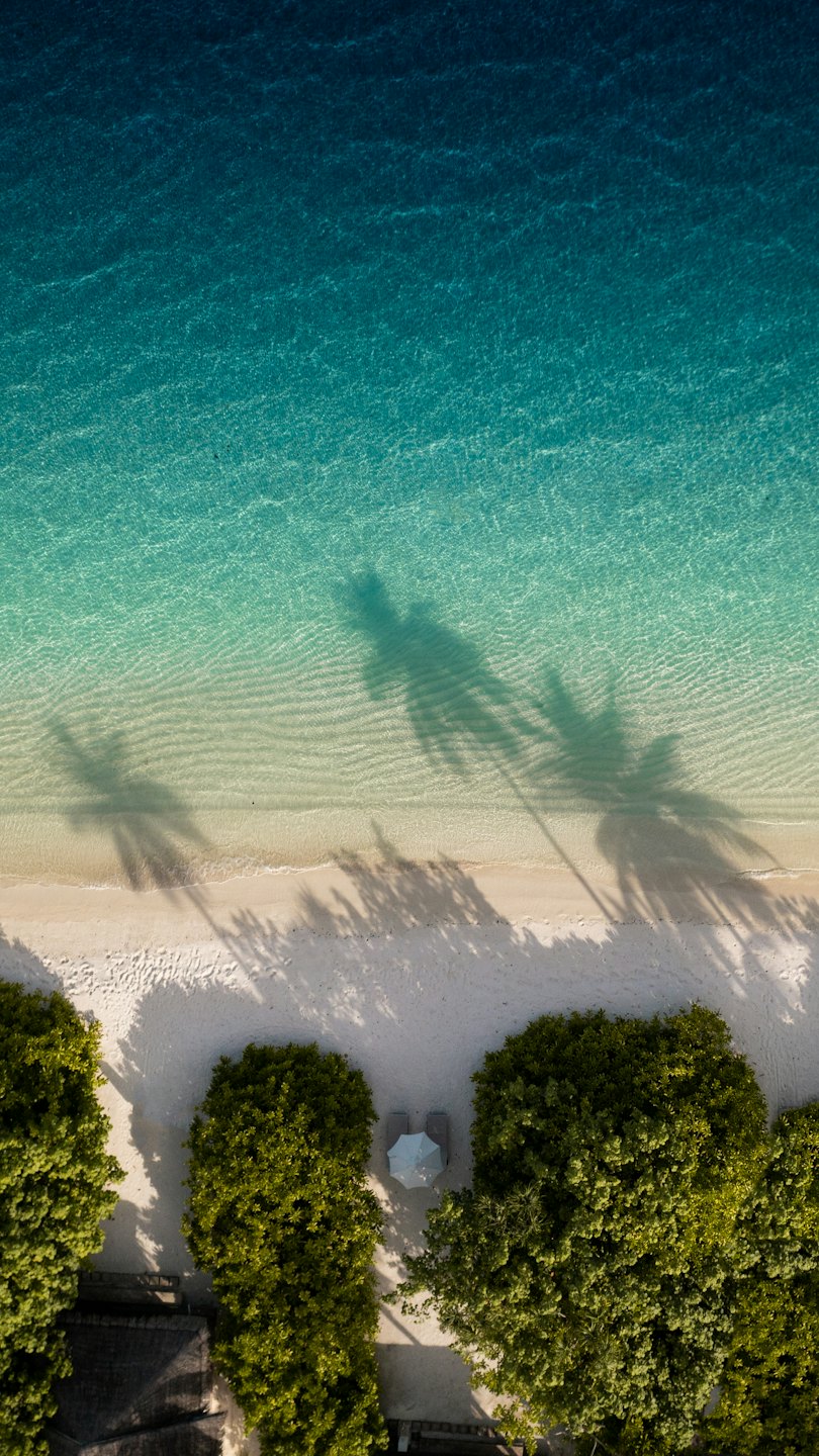 Tropikalne fale obmywają białą piaszczystą plażę w pobliżu palm.